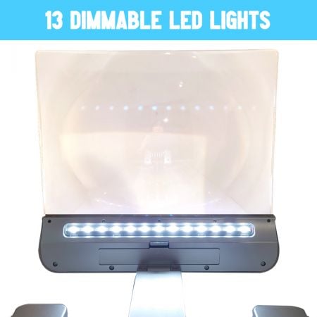 13 dimmable LED lights full page illuminated desktop magnifier